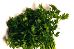 Gençlik iksiri maydanoz kürü