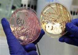 EHEC nasıl yayıldı