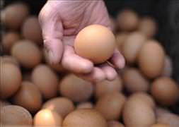 Araç sahipleri bu hırsızlara dikkat!