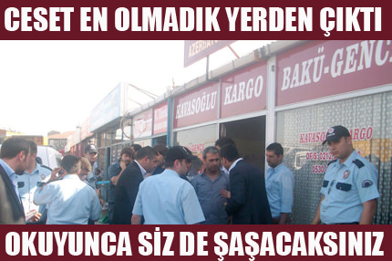 Ceset kargo paketinden çıktı