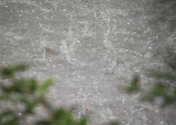 Meteoroloji'den kuvetli yağış uyarısı