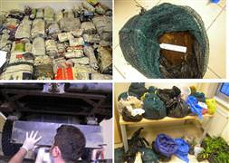 Lale hırsızlarına suçüstü