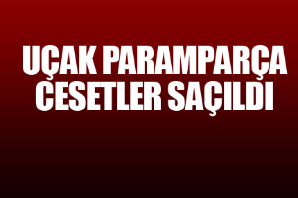 Uçak düştü: 44 ölü var