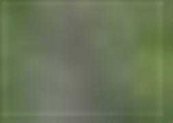 Uçaktan 8 kişi kurtuldu