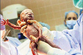 Hello baba biz geldik!