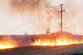 Başak, ateşe boyun eğdi