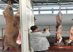 Holanda'da, müslümanları kızdıracak karar!