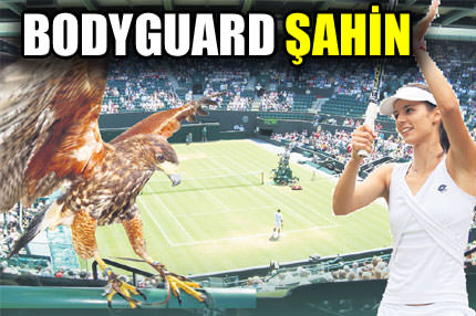 Bodyguard Şahin