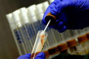 Şimdi de Coli paniği