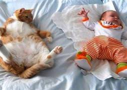 İnternette tık rekorları kıran kareler