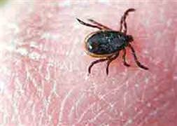 Yeşil alanlara çok dikkat edin !