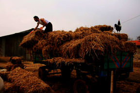 Fakirlik görecelidir