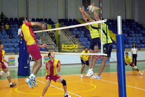 Aslan'a kargo desteği