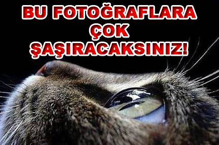 İnanılmaz fotoğraflar