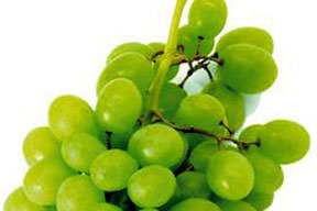 Üzümün çekirdeği!