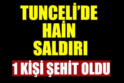 Tunceli’de hain saldırı