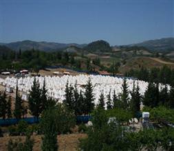 Suriye sınırında yangın