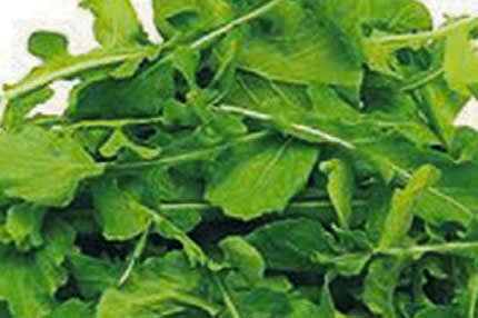 Karaciğerin yeşil dostu