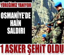 Osmaniye'de Çatışma: 1 Asker Şehit