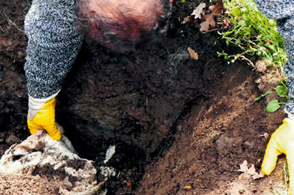 Doktor bebek katili çıktı