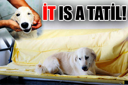 It is a tatil! *Bu bir tatil