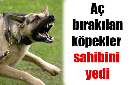 Aç bırakılan köpekler sahibini yedi