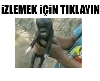 İnsan başlı domuz yavrusu