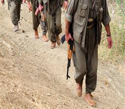 Hainler Avrupa'yı zehirliyor