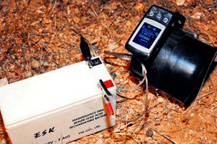 Bıldırcın’çalar!