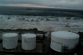 Pirinçte büyük tehlike