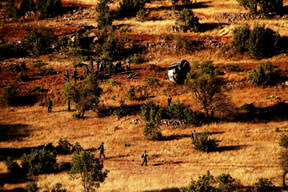 Askeri helikopter düştü: 3 yaralı