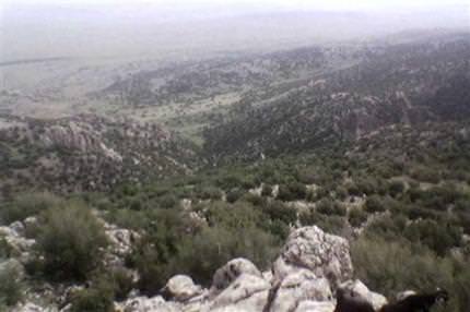 4 öğretmen serbest