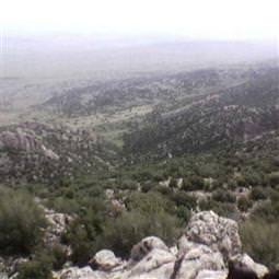 4 öğretmen serbest