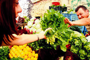 Sel fırsatçıları