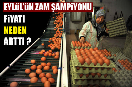 Fiyatı neden arttı?