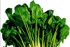 Selülite yeşil düşman