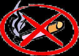 Bir zararı daha bulundu