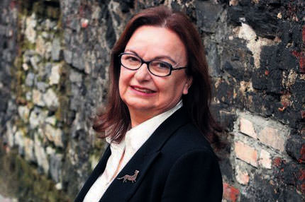 KCK’nın Anayasa profesörü gözaltında