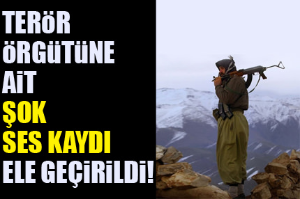 Bölücü örgütün şok ses kayıtları!