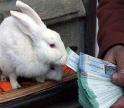 Milli Piyango çekildi