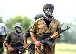 Diyarbakır'da PKK'ya darbe