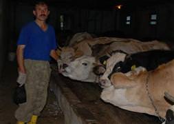 Kurbanlığı ’gözünden’ tanıyın