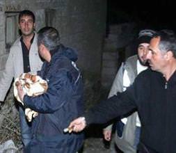 Erciş'te donmak üzereyken bulundu