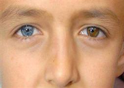 Teşhis koyamadılar!