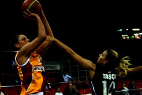 Dişi Aslan ezdi geçti