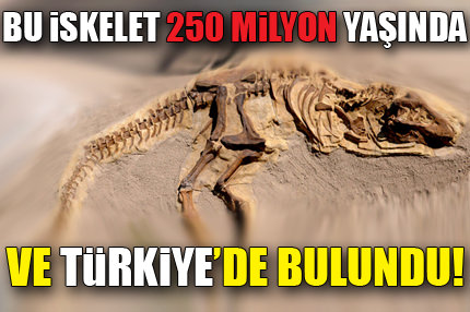 280 milyon yaşında bir kertenkele bulundu