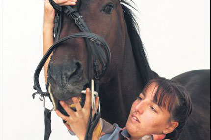 Dörtnala iş fırsatı