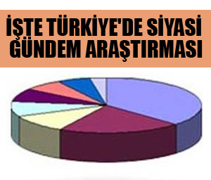Türkiye'de siyasi gündem araştırması