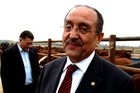 Kurbanlıklar 3 milyonu buldu