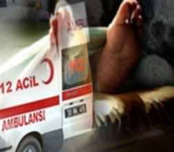 Adamı parçalayıp yaktılar!